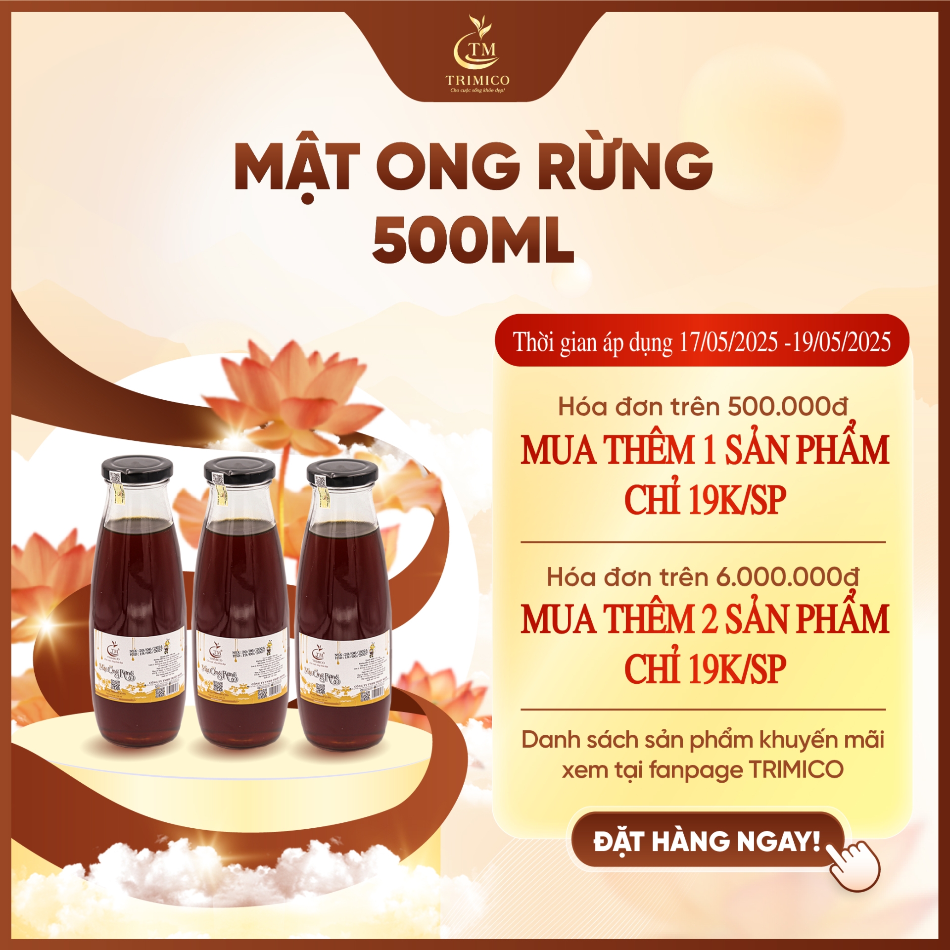 Mật Ong Rừng 500ml